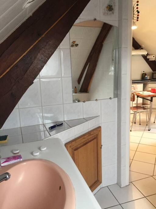 Logement Cosy Et Lumineux Auxerre Eksteriør billede